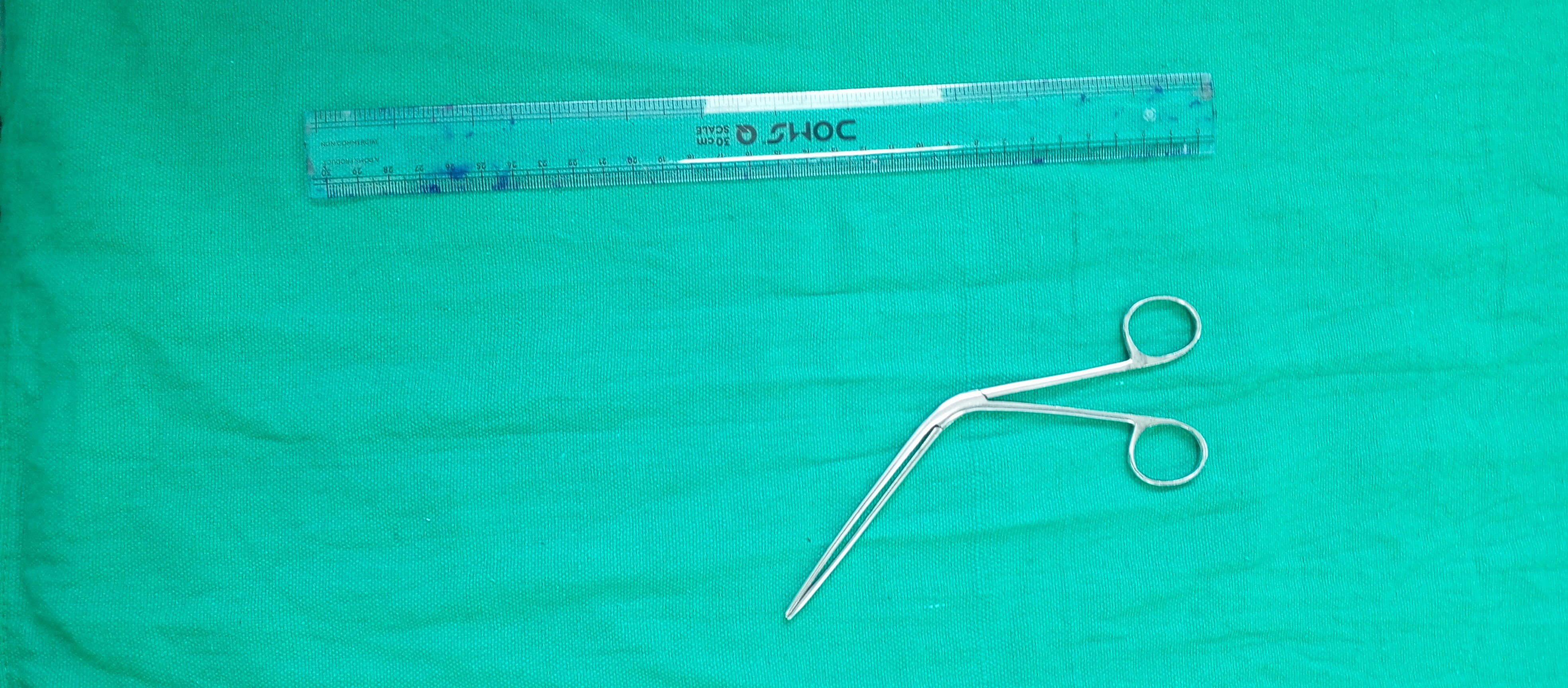 Tally Nasal Forcep